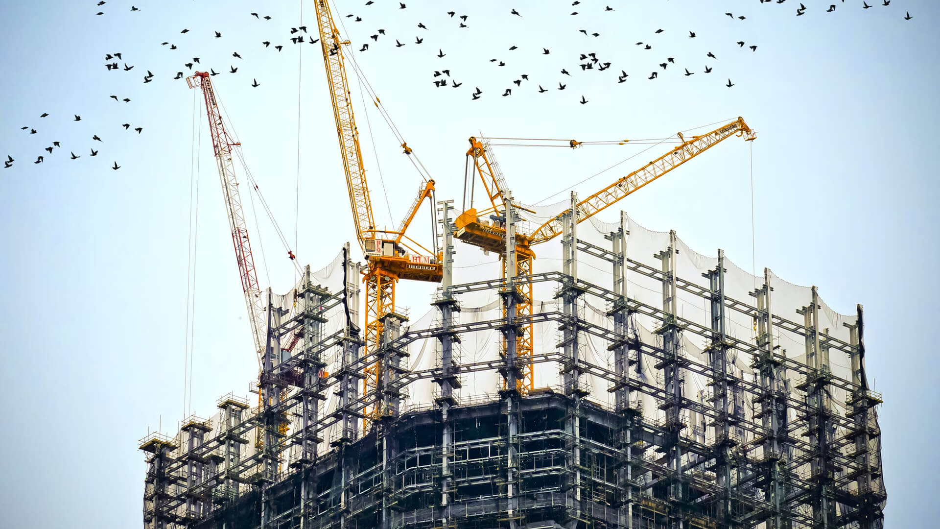 Modern commercial building construction in Toronto